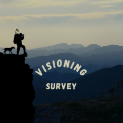 Visioning survey